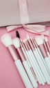 Set X12 Brochas de/para maquillaje en estuche NAEZ 