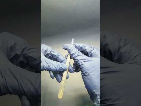 (BH005159) Pinza Recta Cherimoya ___Pack X12