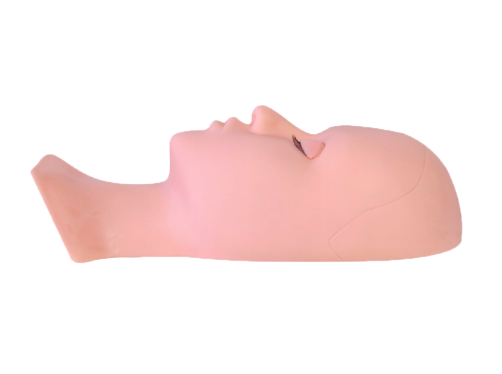 [BH004012] (BH004012) cabeza de practica Cherimoya  ___PACK X5.png