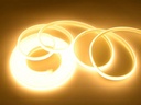 8923376