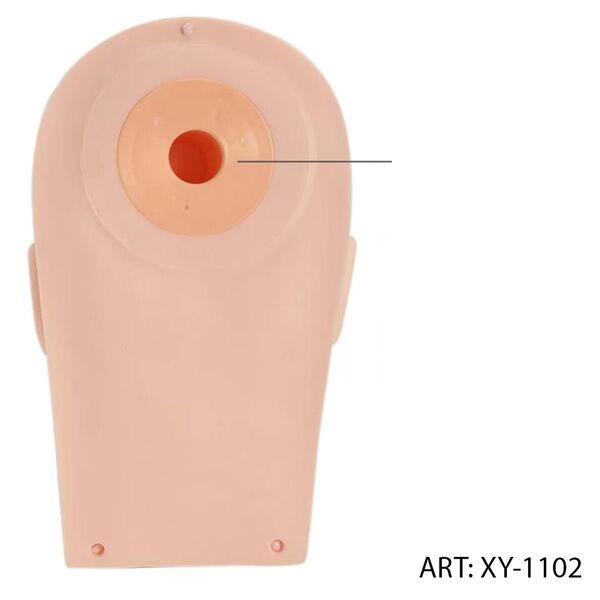 (PG-XY1102) cabeza de silicona de/para practicar