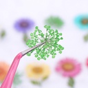 flores secas en organizador 12 divisiones decoracion uñas strass