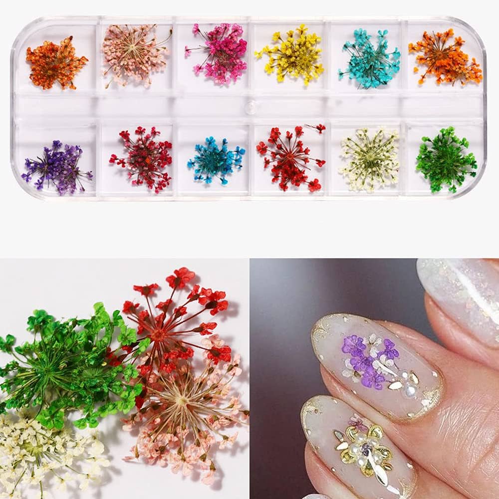 flores secas en organizador 12 divisiones decoracion uñas strass