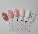 Gel de construcción ELOISE 15ML