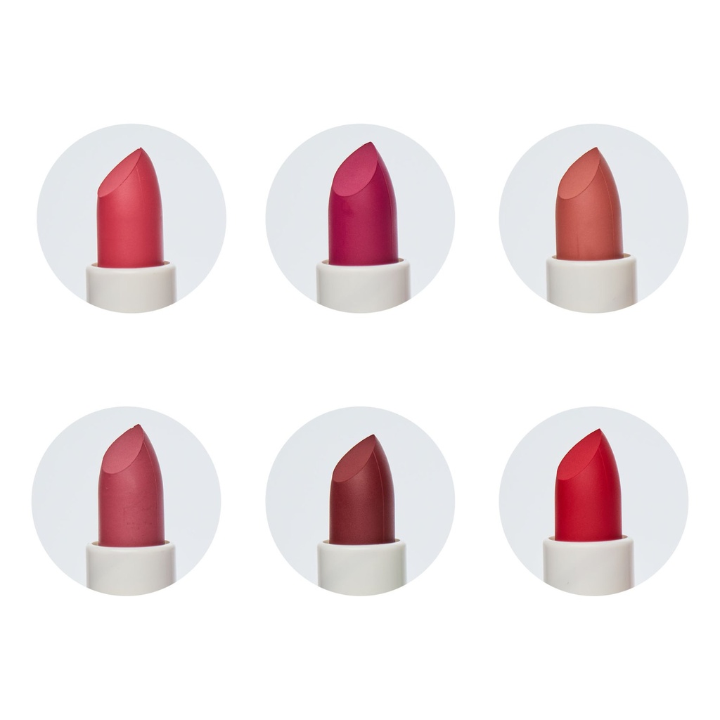 Labial lipstick velvet high pigment  MELY___ CAJA X24 PCS
