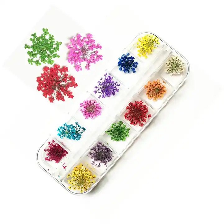[SGL008] flores secas organizador 12 divisiones Nail art decoracion strass flor premium Naturales (Unidad)