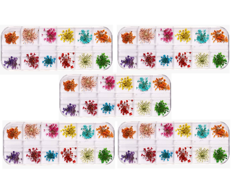 flores secas organizador 12 divisiones Nail art decoracion strass flor premium Naturales