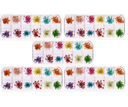flores secas organizador 12 divisiones Nail art decoracion strass flor premium Naturales