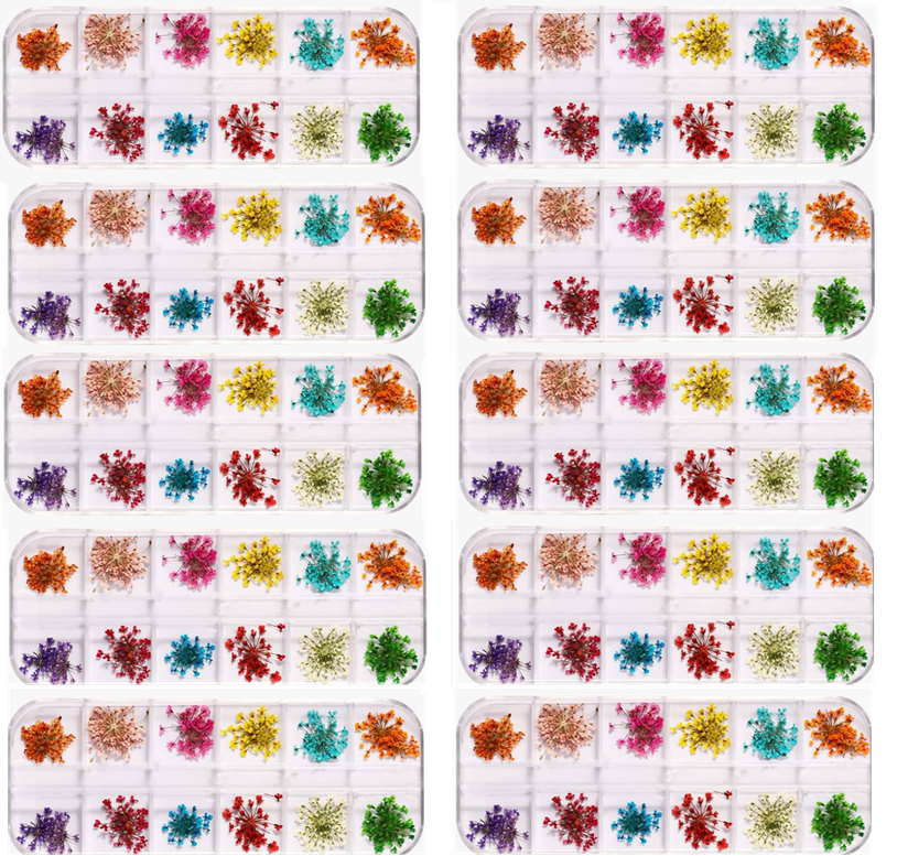 flores secas organizador 12 divisiones Nail art decoracion strass flor premium Naturales