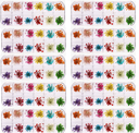 flores secas organizador 12 divisiones Nail art decoracion strass flor premium Naturales