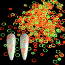 decoracion de uñas colores strass glitter brillos 6 divisiones Eloise ___ PACK X4