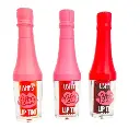 Labiales Tinta Kiss Botella USHAS