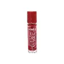 tinta labial frutal SANIYE