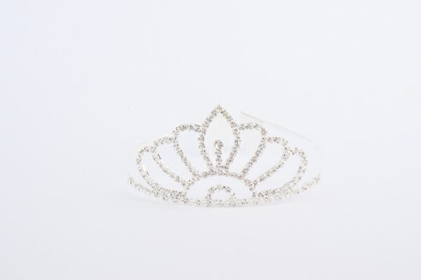 [PG-3651-6] CORONA VINCHA