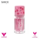 brillo labial frutas SANIYE