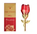perfume corporal Rosas V.V. Love