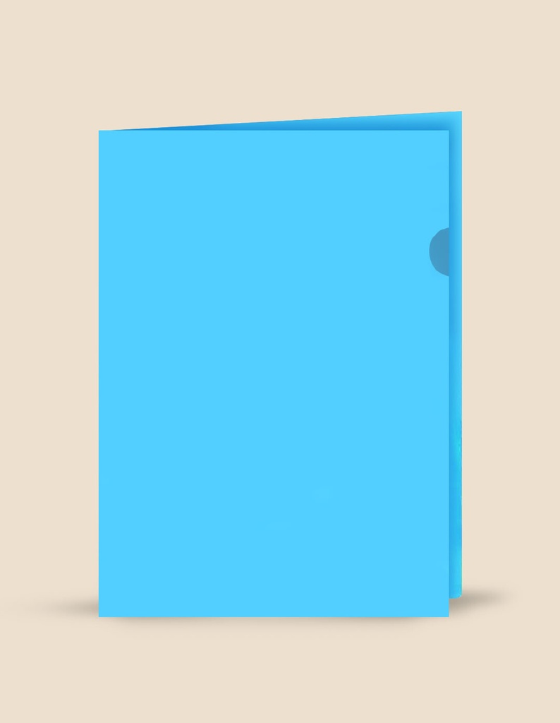 oferta - carpeta c/u