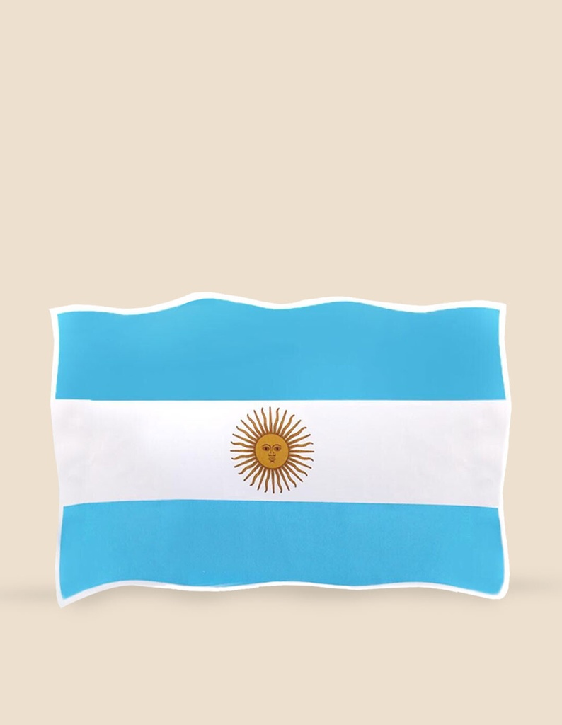 sticker bandera argentina 24,7*33,5