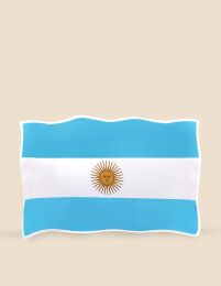 STICKER BANDERA ARGENTINA 24,7*33,5 ___Pack X6