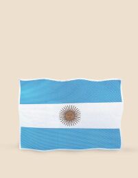 STICKER BANDERA DE ARGENTINA 24,7*33,5___Pack X6