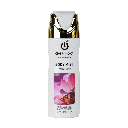 BODY MIST-Paris Fashion- 250ml ___Pack X12  CFF001-012