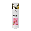 BODY MIST-Fierce Berry- 250ml ___Pack X12  CFF001-018