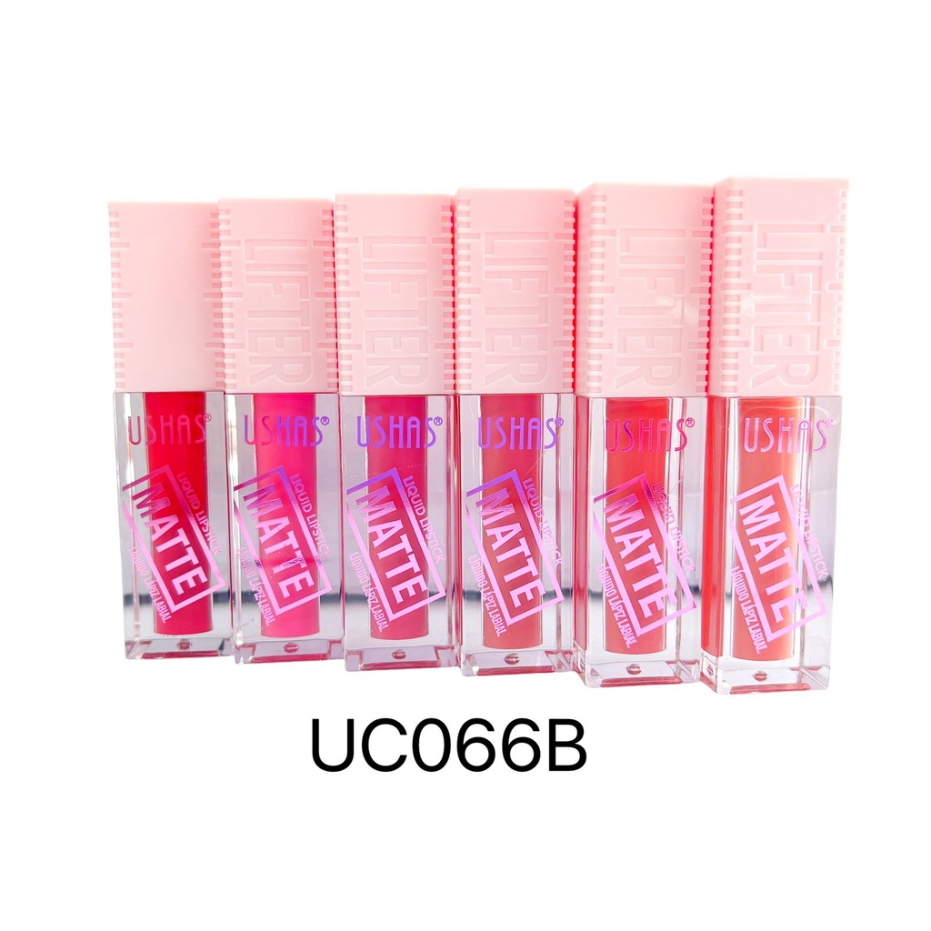 LABIAL LIQ.MATTE NO MANCHA USHAS X1U