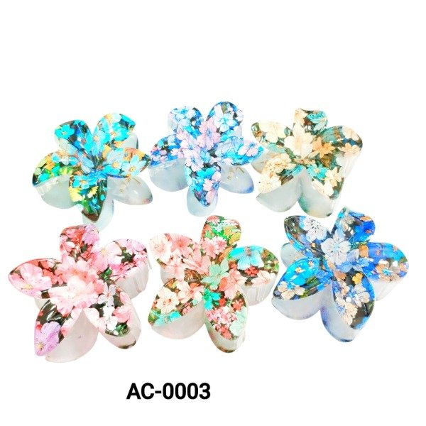 BROCHE X12