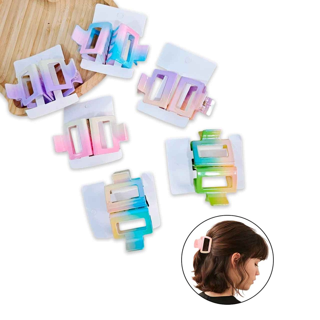 [PM-HN3253015] BROCHES TORNASOLADOS X2 PARA CABELLO
