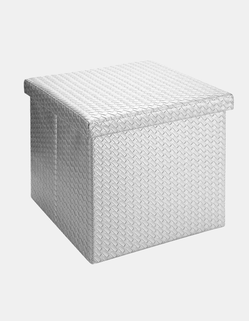 [PP-EE-02563] ORGANIZADOR