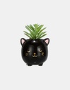 MACETA CON PLANTA