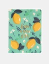 CUADERNO