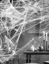DECORACION TELA DE ARAÑA