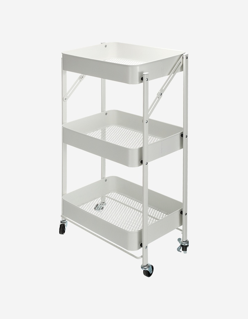 CARRO ORGANIZADOR
