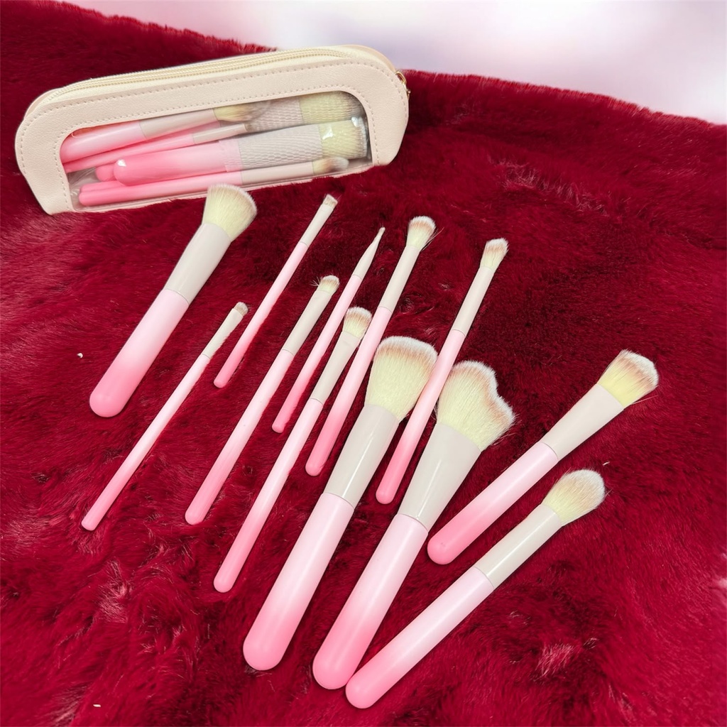 SET DE BROCHAS CON ESTUCHE X12PCS *12