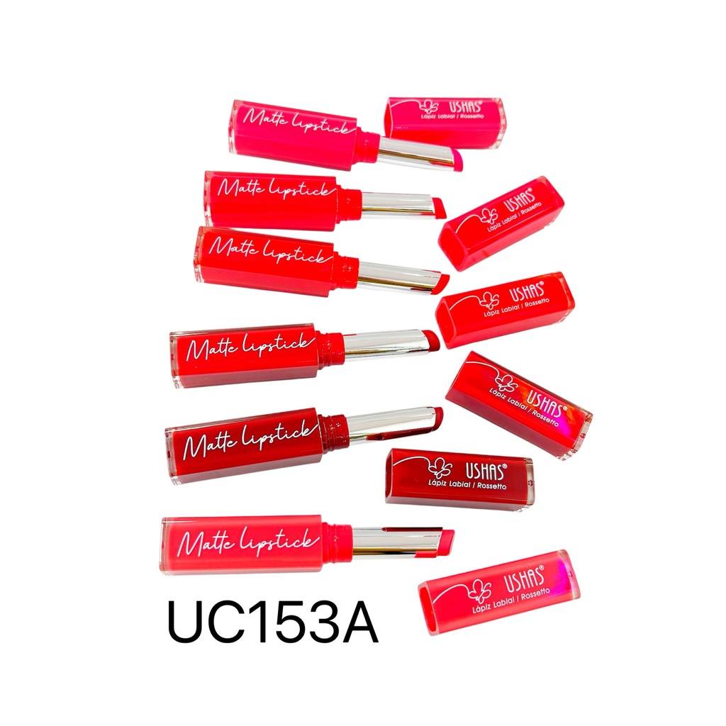 [PY-UC153A] LABIAL MATTE ROSETTO USHAS X1U