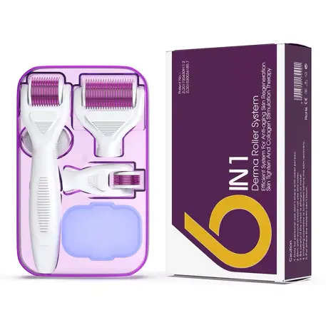 DERMA ROLLER SYSTEM 6in 1 170901