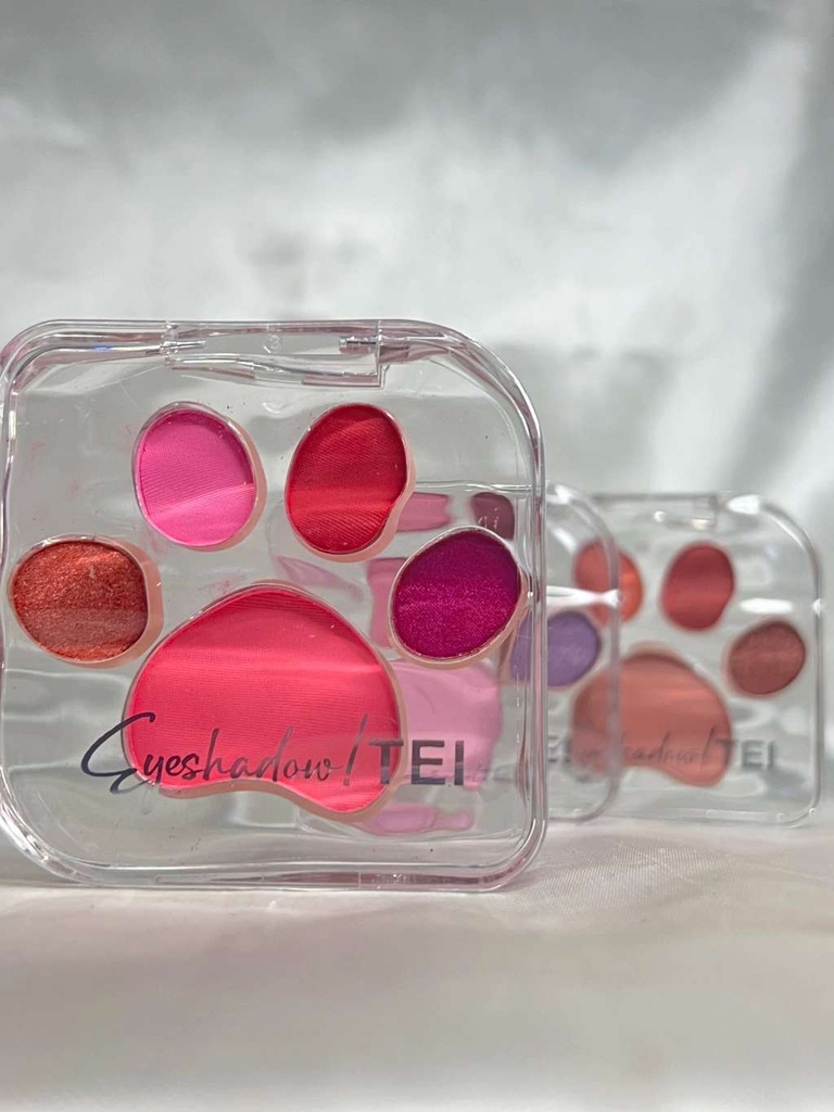 PALETA DE SOMBRAS MINI HUELLA *5 TONOS TEI8112