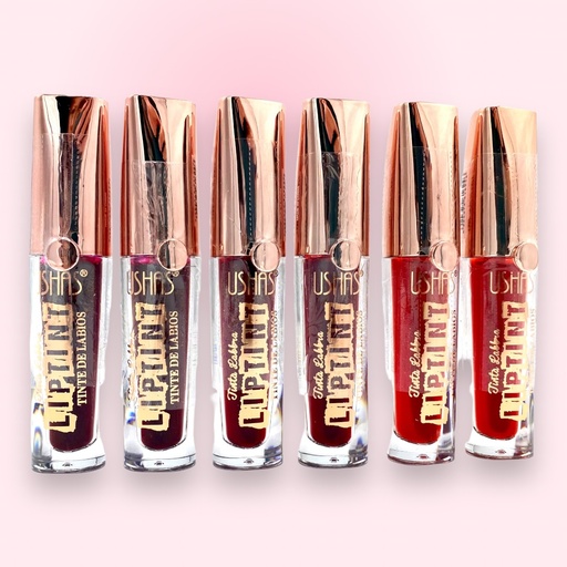 [PL-616246] Tinta para labios USHAS