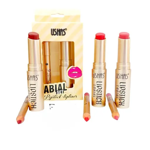[PY-314] US011 kit Labial en barra+ Lápiz Matte USHAS