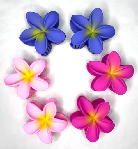 [PT-09091] Broche Hawai Opaco x6 