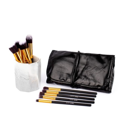 [PG-TS1000S-Z] set X10 brochas + estuche